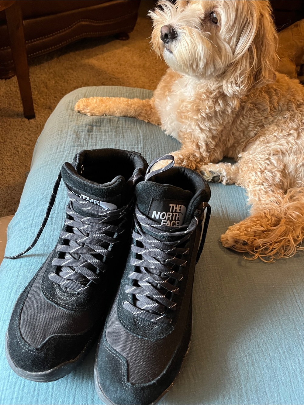 The North Face Winter Boots